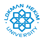 Lokman Hekim Üniversitesi